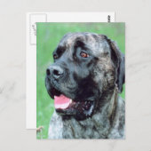 Hundepanting Postkarte (Vorne/Hinten)