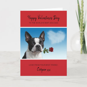Hundepapa Valentinstag von Boston Terrier mit Rose Feiertagskarte