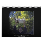 Hundepark-Farbkalender 2 Kalender (Titelbild)