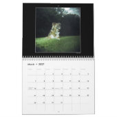 Hundepark-Farbkalender 2 Kalender (Mär 2027)
