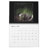 Hundepark-Farbkalender 2 Kalender (Feb 2027)