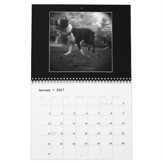 Hundeparkkalender 3 kalender (Jan 2027)
