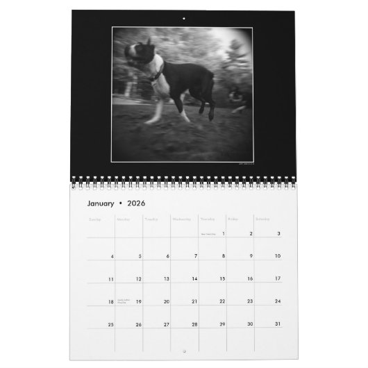 Hundeparkkalender 3 kalender (Jan 2026)