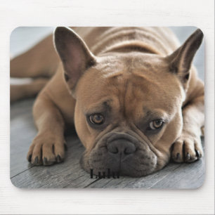Hundepersonalisiertes Foto Mousepad