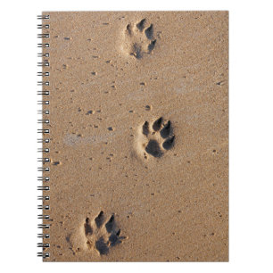 Hundepete druckt auf einem Sandstrand Notizblock