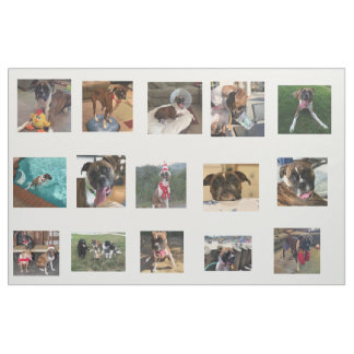 Hundepics Stoff
