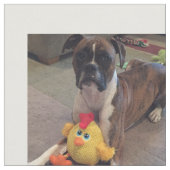 Hundepics Stoff (Nahaufnahme)