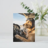 Hundepiloten fliegen Flugzeug lustig Luftfahrt Geb Postkarte (Stehend Vorderseite)