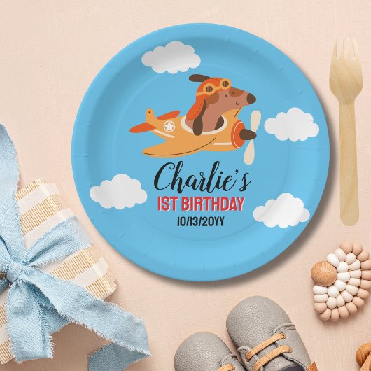 Hundepilotin Flug Flugzeug, Niedliche Kinder Blaue Pappteller