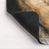 Hundepolster Mousepad (Ecke)
