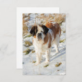 Hundeportrait Dankeskarte (Vorne/Hinten)