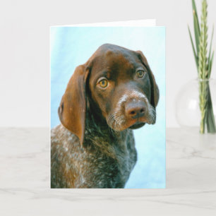 Hundeportrait Feiertagskarte