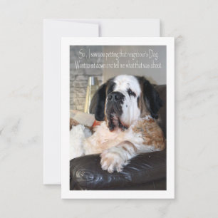 Hundeportrait Funny Saint Bernard Dankeskarte