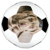 Hundeportrait Fußball (Gedreht)