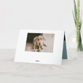 Hundeportrait Karte (Rückseite)