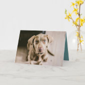 Hundeportrait Karte (Gelbe Blume)