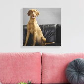 Hundeportrait Leinwanddruck (Insitu (Wohnzimmer))