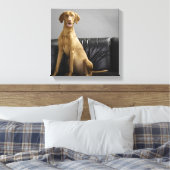 Hundeportrait Leinwanddruck (Insitu (Schlafzimmer))