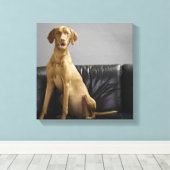 Hundeportrait Leinwanddruck (Insitu (Holzboden))