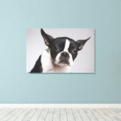 Hundeportrait Leinwanddruck (Insitu (Holzboden))