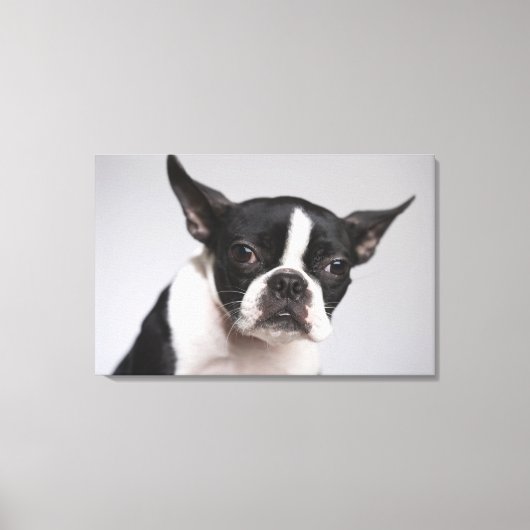 Hundeportrait Leinwanddruck (Vorderseite)