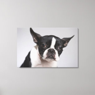 Hundeportrait Leinwanddruck