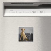 Hundeportrait Magnet (In Situ (Geschirrspüler))