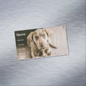 Hundeportrait Magnetische Visitenkarte (Beispiel)