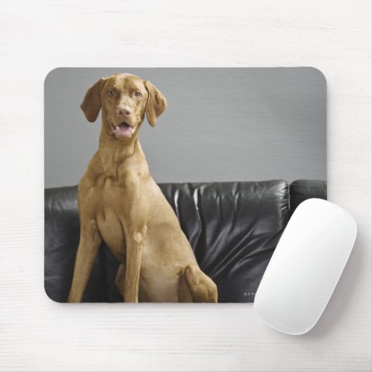 Hundeportrait Mousepad (Mit Mouse)