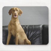 Hundeportrait Mousepad (Vorne)