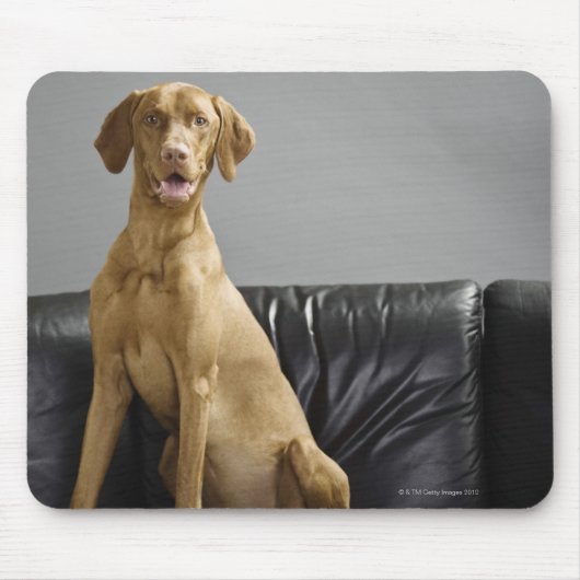 Hundeportrait Mousepad (Vorne)