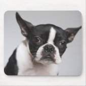 Hundeportrait Mousepad (Vorne)