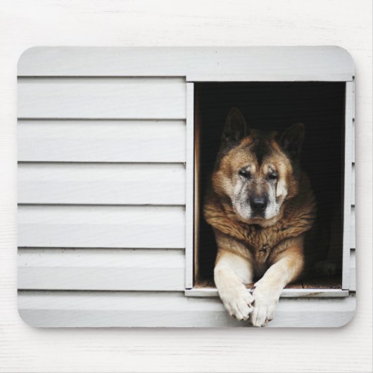 Hundeportrait Mousepad (Vorne)