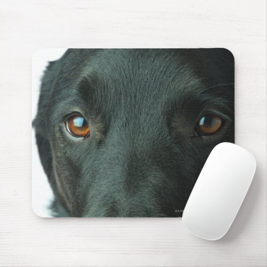 Hundeportrait nah mousepad (Mit Mouse)