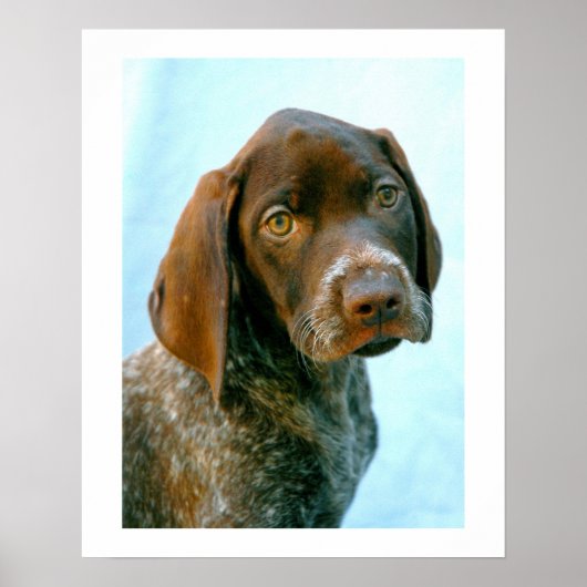 Hundeportrait Poster (Vorne)