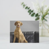 Hundeportrait Postkarte (Stehend Vorderseite)