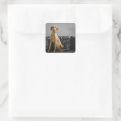 Hundeportrait Quadratischer Aufkleber (Tasche)