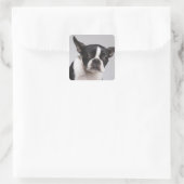 Hundeportrait Quadratischer Aufkleber (Tasche)