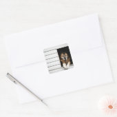 Hundeportrait Quadratischer Aufkleber (Umschlag)