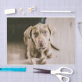 Hundeportrait Seidenpapier (Handwerk)