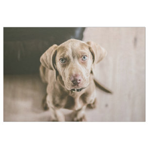 Hundeportrait Stoff