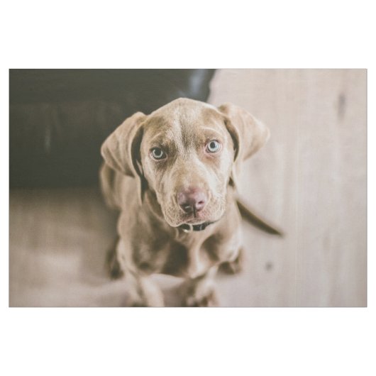 Hundeportrait Stoff (Yard (91,4 cm))