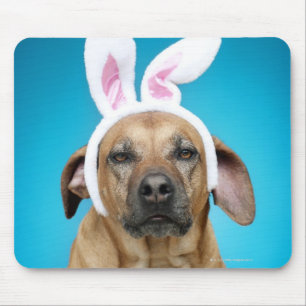 Hundeporträt, das Osterhasenohren trägt Mousepad