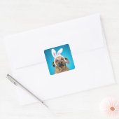 Hundeporträt mit Ostersonnigen Ohren Quadratischer Aufkleber (Umschlag)