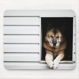 Hundeporträt Mousepad