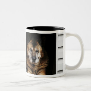 Hundeporträt Zweifarbige Tasse