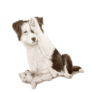 Hundeporträtmalerei auf niedliche Granzwolle Armbanduhr