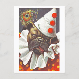 Hundepostkarte im Clownskostüm Postkarte