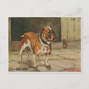 Hundepostkarte mit hartem Bulldogge Postkarte