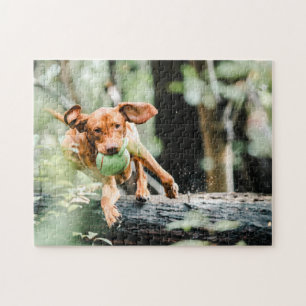 Hundepuzzles Tierbild Niedliche, schlaue Welpenfot Puzzle